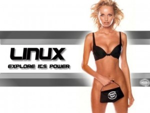 71 fonds d’écran sexy et rigolos sur Linux à télécharger