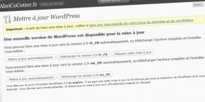 WordPress 2.9 est sortie en version finale