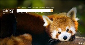 Chrome dépasse Safari et Bing dépasse les 10% aux USA