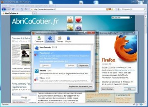 Firefox 3.6 est sorti en version finale