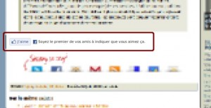 Bouton Facebook Like : un bon rapport qualité-prix