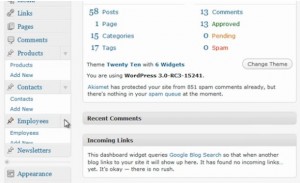 WordPress 3.0 sortie : orientation vers les réseaux de blogs