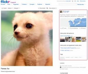 Flickr : pourquoi pas un modèle gagnant-gagnant avec la publicité ?