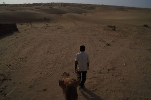 2014-03-10 Inde Jaisalmer Desert Thar Dunes Barna