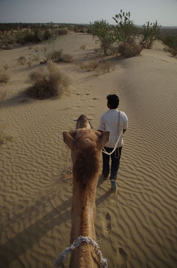 2014-03-10 Inde Jaisalmer Desert Thar Dunes Barna
