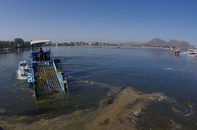 2014-03-14 Inde Udaipur lac Fateh Sagar Bateau Nettoyeur