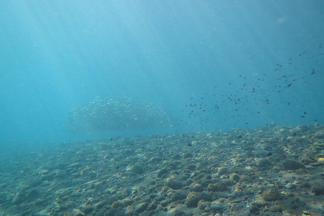 2015-05-04 Bali Plongees Tulamben Drop Off