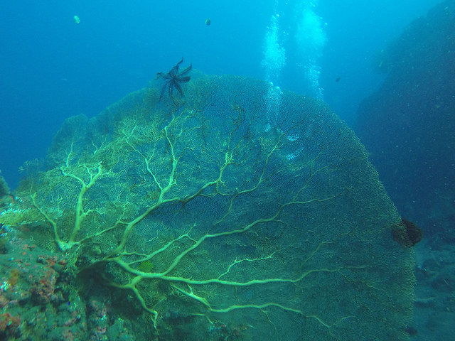 2015-05-04 Bali Plongees Tulamben Drop Off