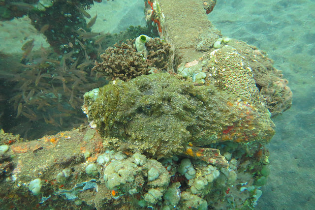 2015-05-08 Bali Plongee Amed Jemeluk Bay