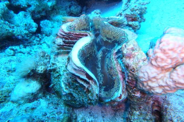 2015-09-21 Croisière St-John Dangerous Reef