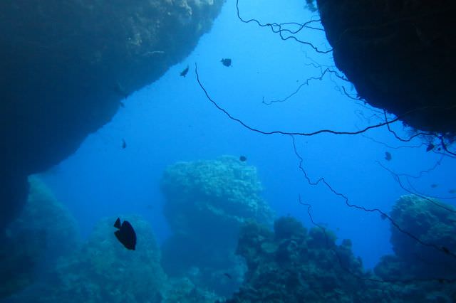2015-09-21 Croisière St-John 216 Dangerous Reef
