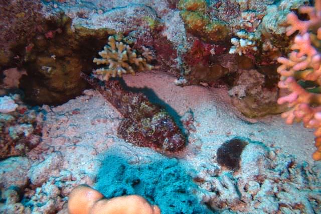 2015-09-21 Croisière St-John 226 Dangerous Reef