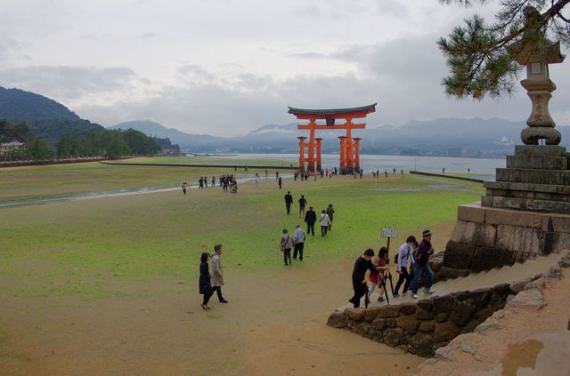 Japon - Miyajima Torii Shrine low tide