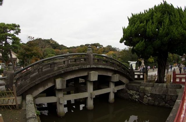 Japon - Kamakura Tsurugaoka Hachimangu