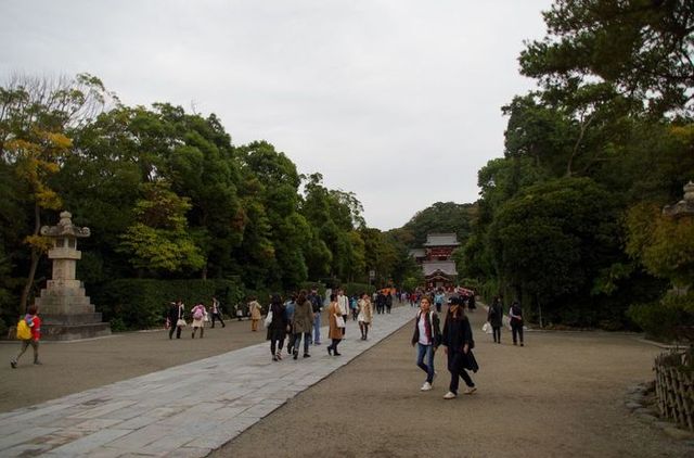Japon - Kamakura Tsurugaoka Hachimangu