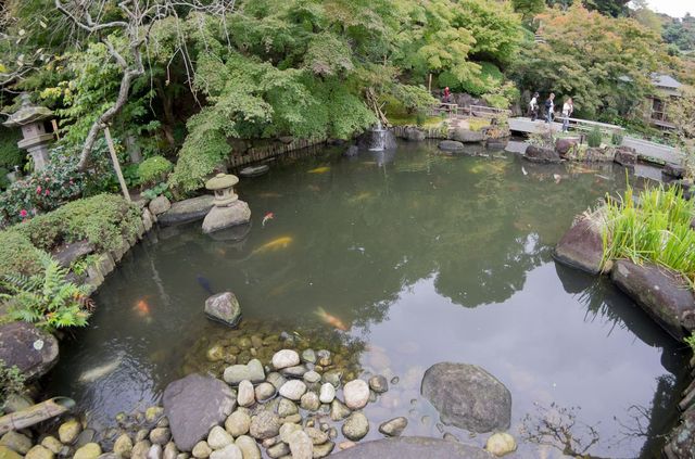 Japon - Kamakura Jardin Zen Humide