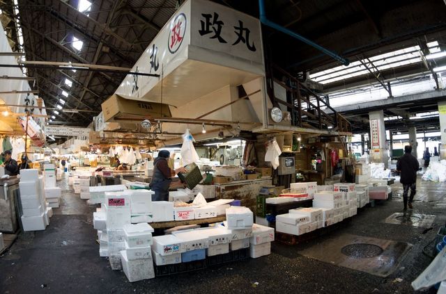 Japon - Tokyo - Tsukiji Fish Market