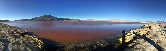 Jour 5 Bolivie Laguna Colorada Sud Lipez