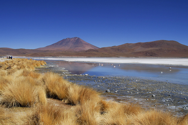 Jour 5 Bolivie Laguna Hedionda