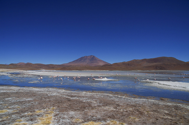 Jour 5 Bolivie Laguna Hedionda