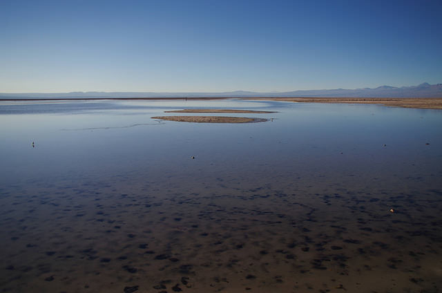 Jour 7 Chili Salar Atacama Laguna Chaxa