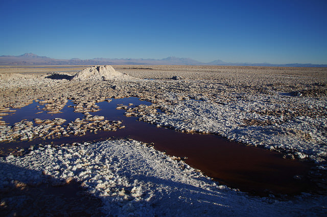 Jour 7 Chili Salar Atacama Laguna Chaxa