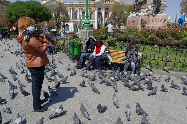 Bolivie Visite La Paz Place Murillo Pigeons