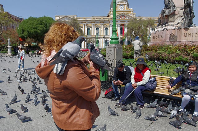 Bolivie Visite La Paz Place Murillo Pigeons